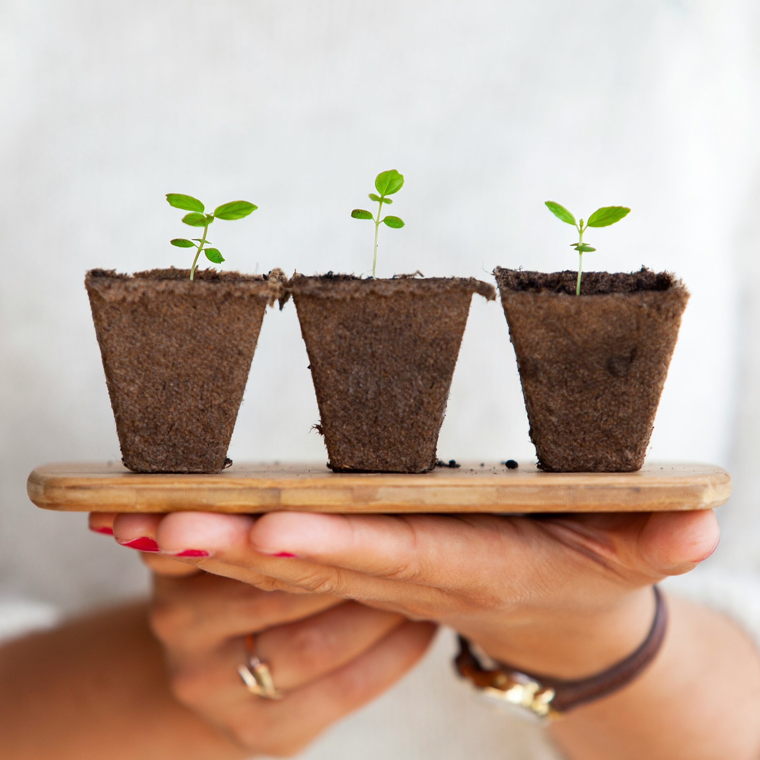 Como Criar uma Horta em Casa e Promover Alimentação Saudável