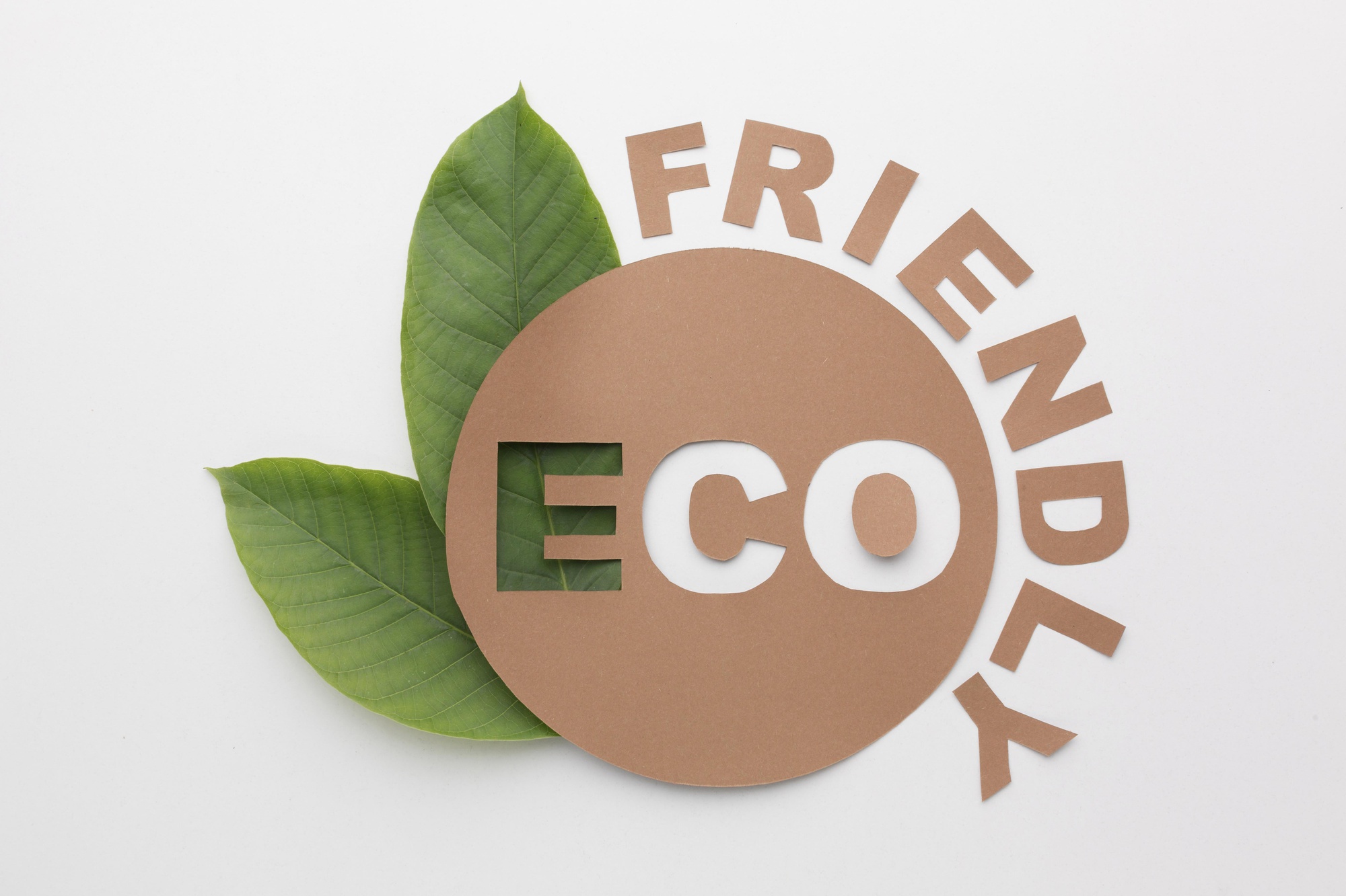 Sustentabilidade e Saúde: 4 Produtos Eco-Friendly para Adotar Hoje