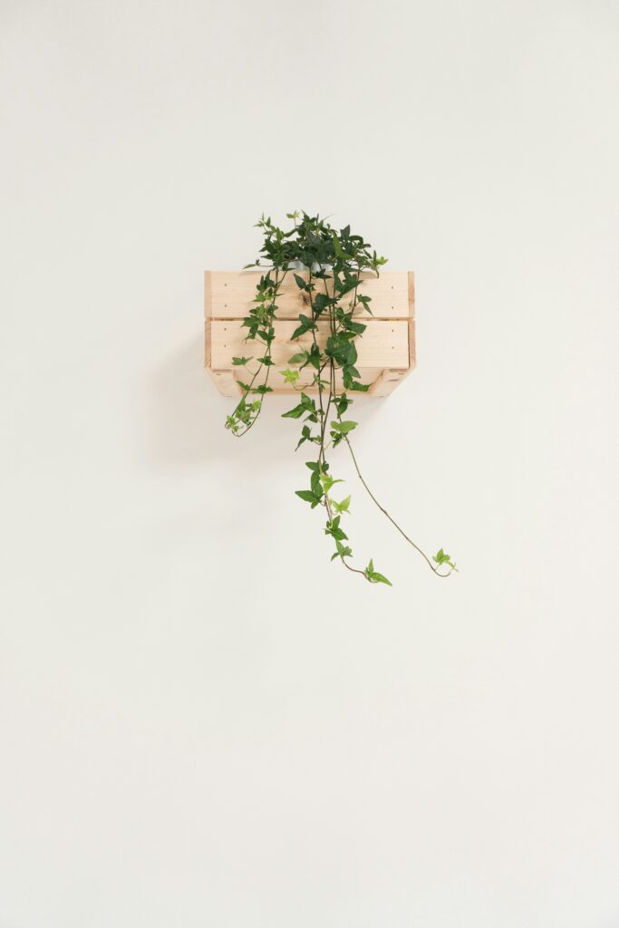 federica-galli-4qhiC6RmQw-unsplash-683x1024 Minimalismo e Bem-Estar: Como Menos Pode Significar Mais