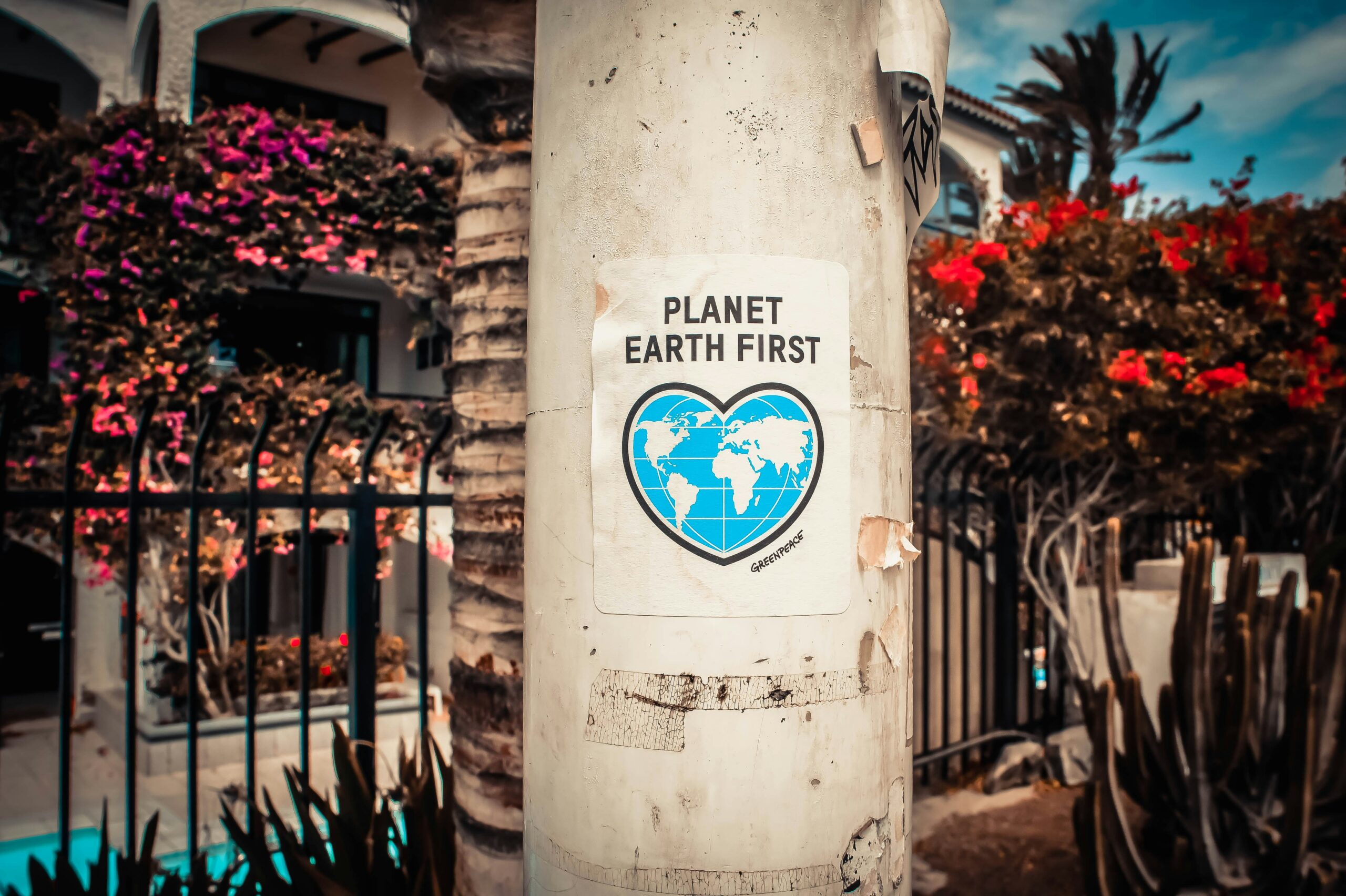 Sustentabilidade no Dia a Dia: 8 Passos para um Impacto Positivo